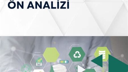 Altcoin Tokenomiklerinin Sürdürülebilirlik Analizi