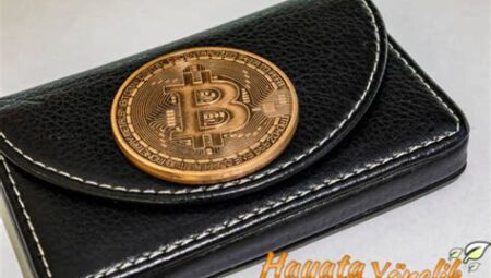 Bitcoin Cüzdanları Arasında Zincir Dışı Transferler