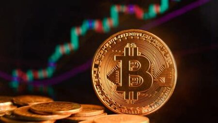 Bitcoin Maksimalizmi Nedir?