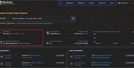 Blockchain Explorer Kullanım Rehberi