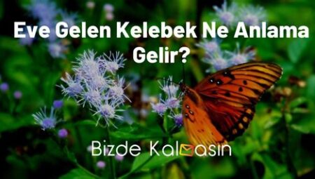 NFT'de “Floor Price” Ne Anlama Gelir?