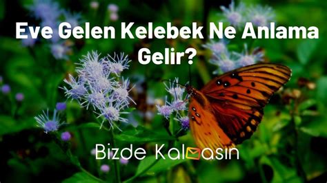 NFT'de “Floor Price” Ne Anlama Gelir?