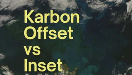 NFT'lerde Karbon Offset Mekanizmaları