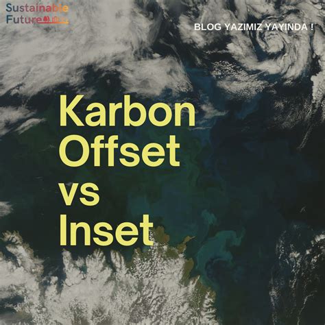 NFT'lerde Karbon Offset Mekanizmaları