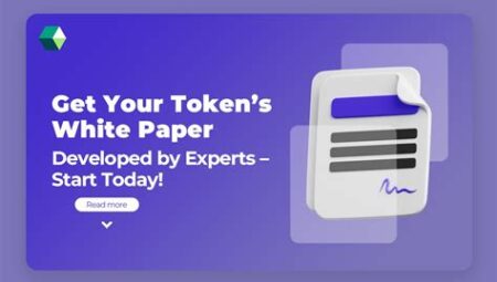 Token Whitepaper Örnek İncelemesi